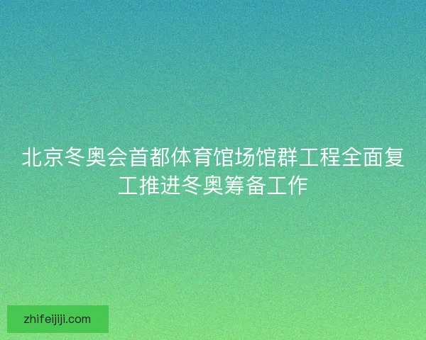 北京冬奥会首都体育馆场馆群工程全面复工推进冬奥筹备工作